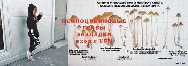 PSILOCYBIN Арсеньев